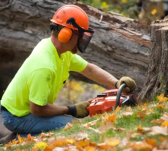 tree services Mead